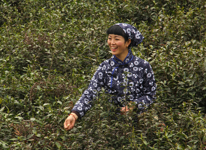 香煮伊在人线国产精品入口 排行6